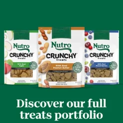 Nutro Crunchy Biscuits with Real Apple Treats For Dogs