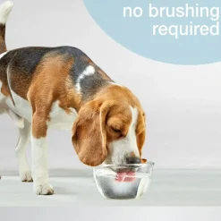 Nylabone Advanced Oral Care Breath Freshener For Dogs & Cats, 16-oz