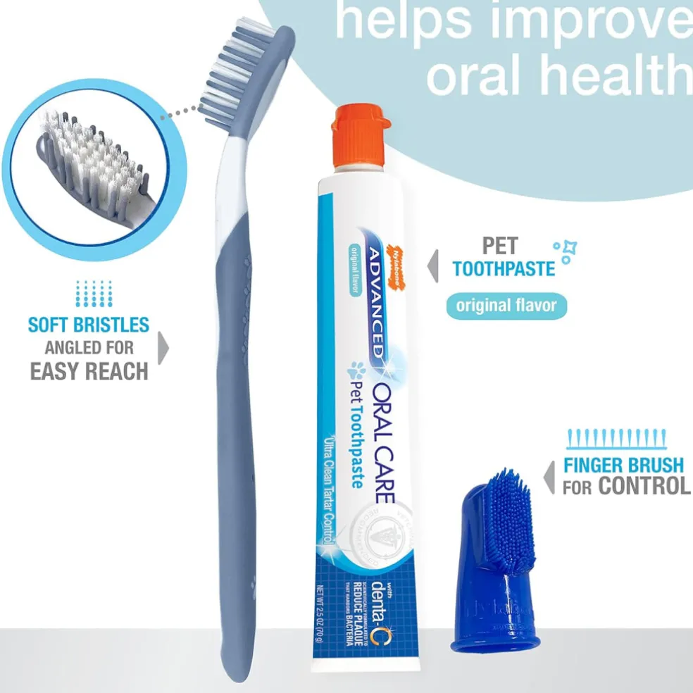 Nylabone Advanced Oral Care Dog Dental Kit