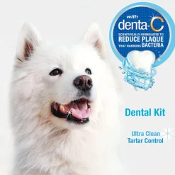 Nylabone Advanced Oral Care Dog Dental Kit