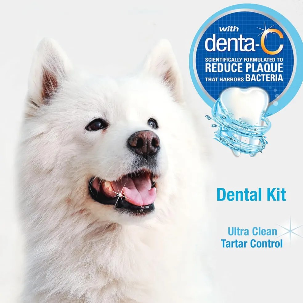 Nylabone Advanced Oral Care Dog Dental Kit