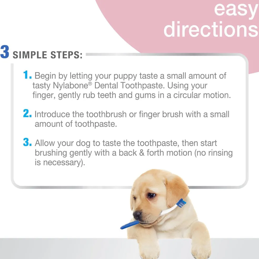 Nylabone Advanced Oral Care Dog Dental Kit