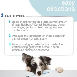 Nylabone Advanced Oral Care Natural Toothpaste- Peanut Butter Flavor (2.5 oz)