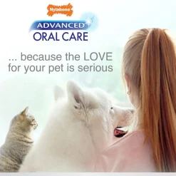 Nylabone Advanced Oral Care Original Flavor Cat Dental Kit, 3 count