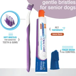 Nylabone Advanced Oral Care Senior Dog Dental Kit