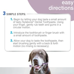 Nylabone Advanced Oral Care Senior Dog Dental Kit