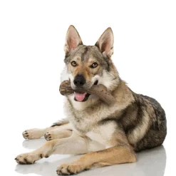 Nylabone Antler Alternative Power Chew Dog Toy