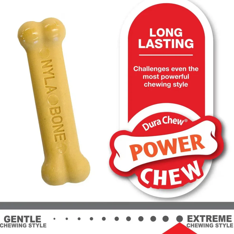 Nylabone Classic Puppy Chew Flavored Durable Dog Chew Toy, X-Small/Petite