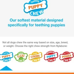 Nylabone Classic Puppy Chew Flavored Durable Dog Chew Toy, X-Small/Petite
