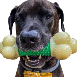Nylabone Double Action Power Chew Durable Dog Toy Bacon