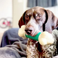 Nylabone Double Action Power Chew Durable Dog Toy Bacon