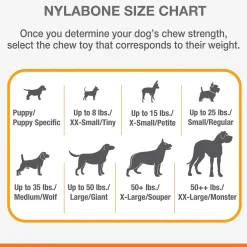 Nylabone Double Action Power Chew Durable Dog Toy Bacon