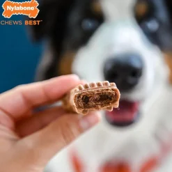 Nylabone Healthy Edibles Meaty Center Beef Flavor Natural Dog Treats