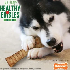 Nylabone Healthy Edibles Natural Dog Chews Long Lasting Turkey & Apple Treats for Dogs