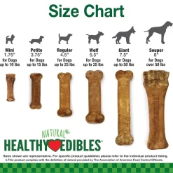 Nylabone Healthy Edibles Natural Dog Chews Long Lasting Turkey & Apple Treats for Dogs