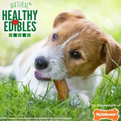Nylabone Healthy Edibles Natural Long Lasting Bacon Flavor Dog Chew Treats