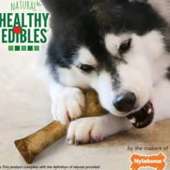 Nylabone Healthy Edibles Puppy WILD Natural Long-Lasting Turkey Flavor Bone Chew Treats for Puppies - Small/Regular , 4-count