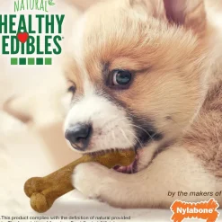 Nylabone Healthy Edibles Puppy Natural Lamb & Apple Flavor Puppy Chew Treats - X-Small/Petite, 8-count