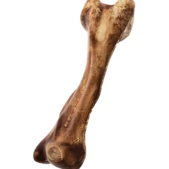 Nylabone Healthy Edibles WILD Natural Long Lasting Venison Flavor Dog Chew Treats - Large/Giant, 1-count