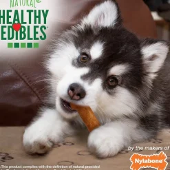 Nylabone Healthy Edibles with DHA Sweet Potato & Turkey Flavor Puppy Chew Treats