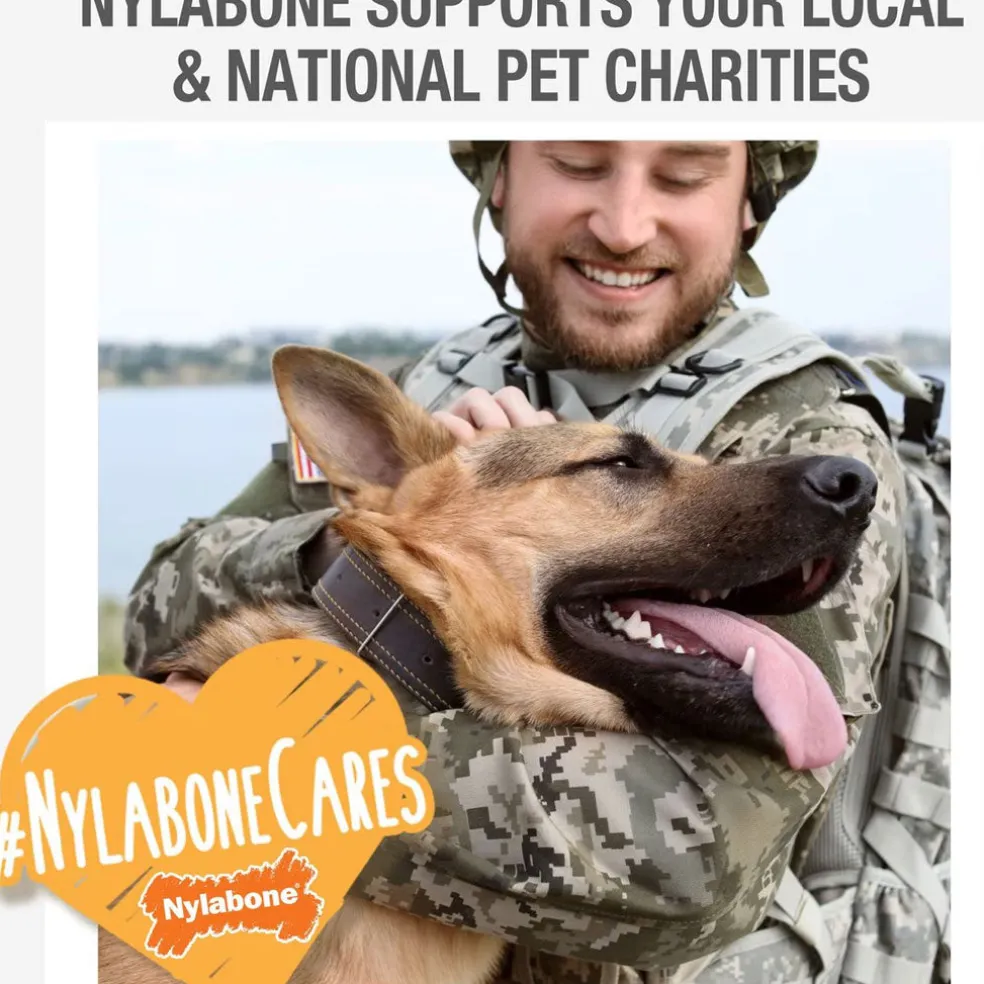 Nylabone Just for Puppies Teething Chew Classic Bone, Chicken Flavor, Medium Wolf, Up to 35 lbs