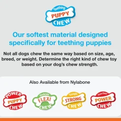 Nylabone Just for Puppies Teething Chew Classic Bone, Chicken Flavor, Medium Wolf, Up to 35 lbs