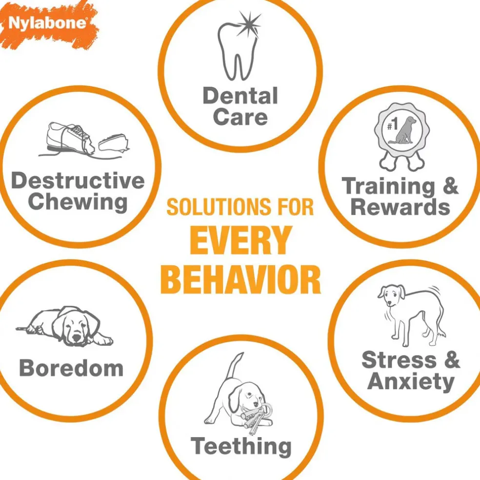 Nylabone Just for Puppies Teething Chew Classic Bone, Chicken Flavor, Medium Wolf, Up to 35 lbs