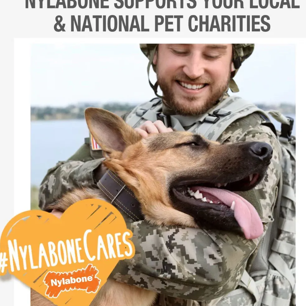 Nylabone Just for Puppies Teething Chew Classic Bone, Chicken Flavor, Medium Wolf, Up to 35 lbs