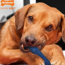 Nylabone Moderate Chew FlexiChew Dental Chew Toy, Textured Bone, Chicken Flavor
