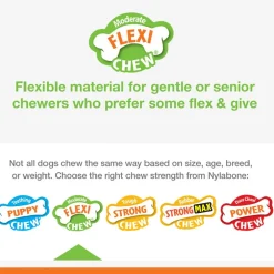 Nylabone Moderate Chew FlexiChew Dental Chew Toy, Textured Bone, Chicken Flavor