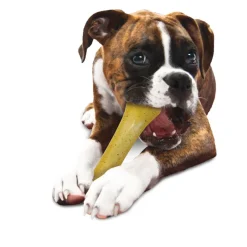 Nylabone Moderate Flexi Chew Chicken Flavor Dog Toy