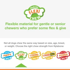 Nylabone Moderate Flexi Chew Chicken Flavor Dog Toy