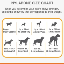 Nylabone Moderate Flexi Chew Chicken Flavor Dog Toy