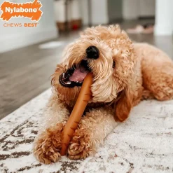 Nylabone Power Chew Baguette Dog Toy Roast Chicken Flavor, Large