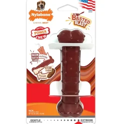 Nylabone Power Chew Basted Blast Dual Flavored Dog Chew Toys