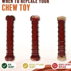 Nylabone Power Chew Basted Blast Dual Flavored Dog Chew Toys