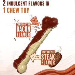Nylabone Power Chew Basted Blast Dual Flavored Dog Chew Toys