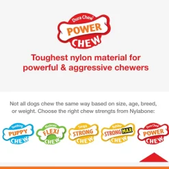 Nylabone Power Chew Braided Bully Stick Alternative Chew Toy for Dogs, Large