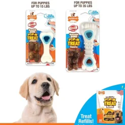 Nylabone Power Chew Chicken Flavored Knuckle Bone & Pop-In Treat Toy Combo Dog Chew Toy