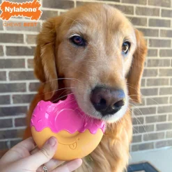 Nylabone Power Chew Donut Bacon Glazed Flavor Dog Toy