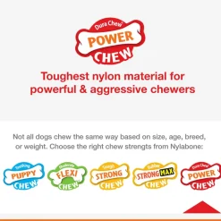 Nylabone Power Chew Durable Dog Toy Chicken