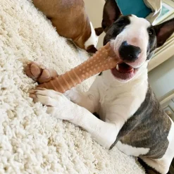 Nylabone Power Chew Durable Dog Toy Bacon Flavor