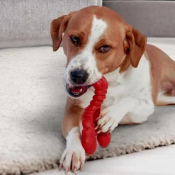Nylabone Power Chew Lobster Dog Toy, Red