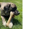 Nylabone Power Chew Monster Bone Big Dog Chew Toy Chicken, XX-Large