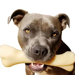 Nylabone Power Chew Monster Bone Big Dog Chew Toy Chicken, XX-Large