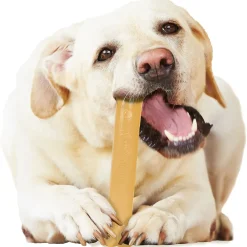 Nylabone Power Chew Peanut Butter Flavored Dog Chew Toy