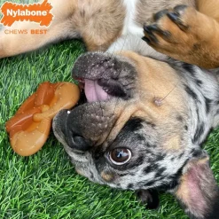 Nylabone Power Chew Pretzel Dog Toy Bacon & Peanut Butter