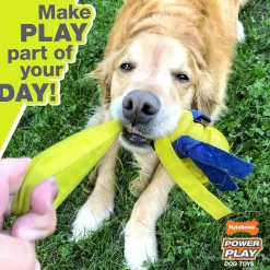Nylabone Power Play Basketball B-Ball Gripz Dog Toy