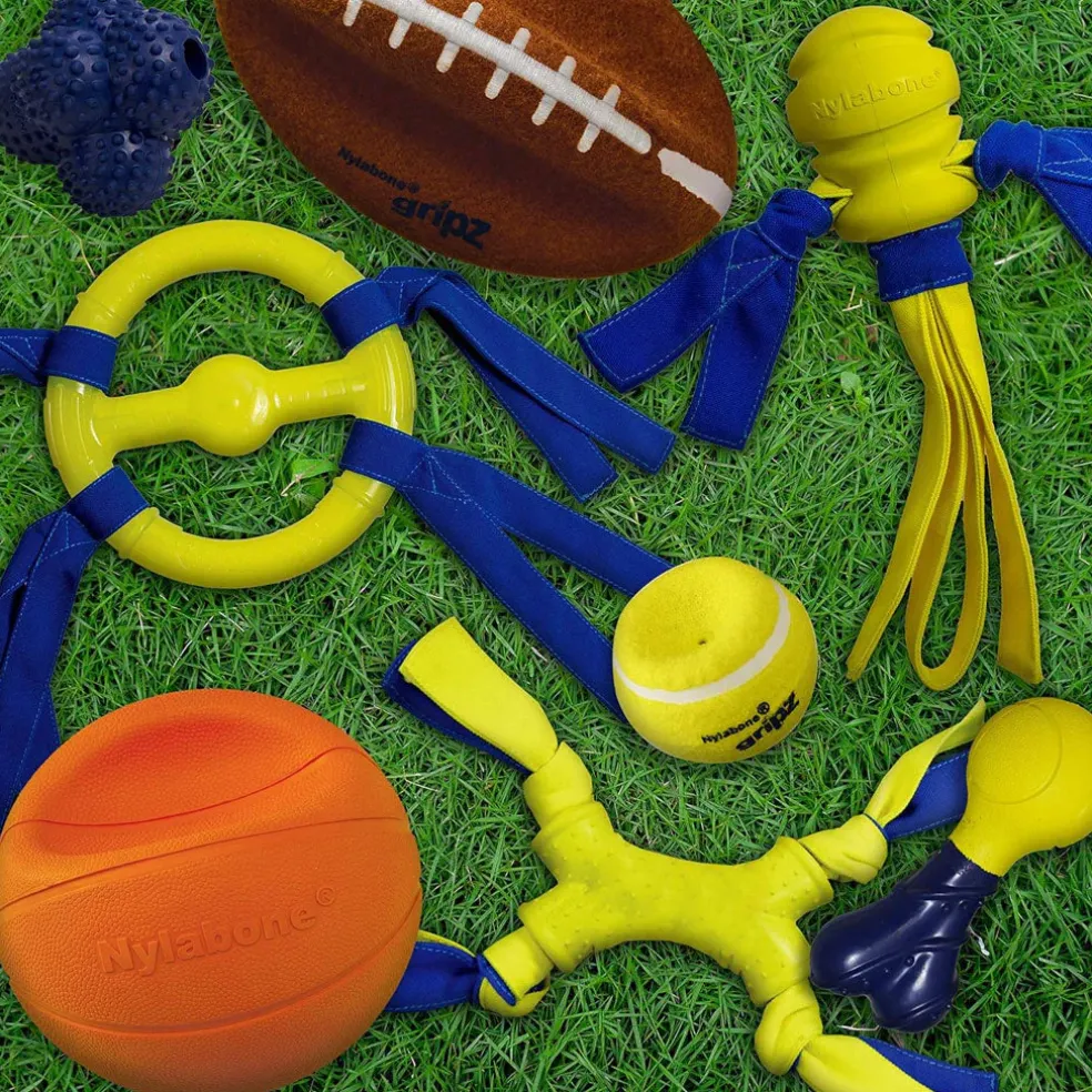 Nylabone Power Play Basketball B-Ball Gripz Dog Toy