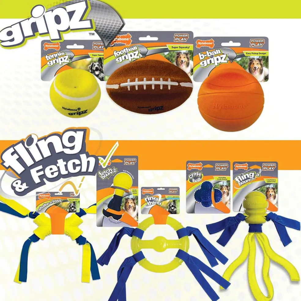 Nylabone Power Play Basketball B-Ball Gripz Dog Toy